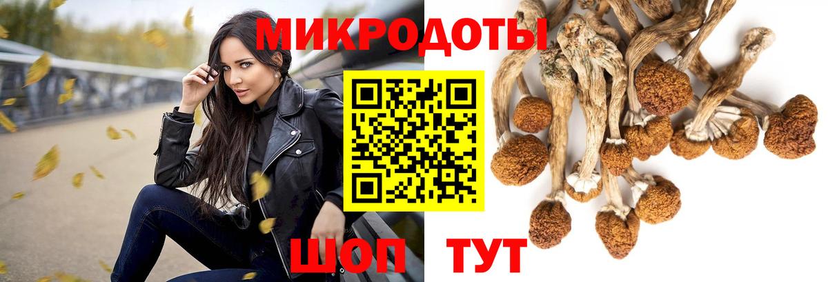 Псилоцибиновые грибы Psilocybe  Вход с VPN  Павлово 